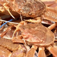 日本料理 みや  - 