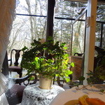 エルミタージュ ドゥ タムラ - 26,11