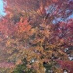 山荘 風の杜 - 紅葉が綺麗〜