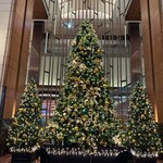 日本料理 八千代 - 