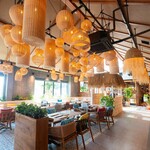 PISOLA - 