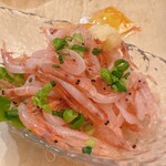 まぐろ一筋みやもと - 