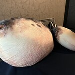 大阪焼ふぐの会 - 