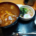 志奈乃 元町店 - かつカレー丼セット