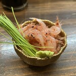 立喰寿司 生野流 - 駿河産　生桜エビ