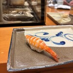 鮨 井上 - 蒸し海老