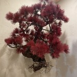 鮨 赫 sushi aka Tokyo - 