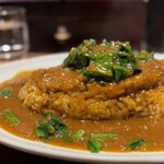 旨辛カレー専門店 白洋亭 - とんかつほうれん草カレー　1330円　＋　ライス大盛り　150円