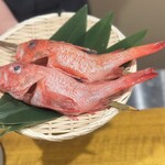 炉ノ鳥 - 