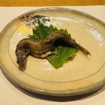 鮓 きずな - 本ししゃも