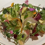 レフェルヴェソンス - 