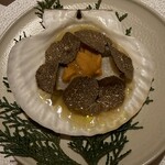 レフェルヴェソンス - 