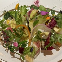 レフェルヴェソンス - 