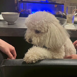 京都 鉄板焼 grow - 