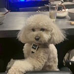 京都 鉄板焼 grow - 