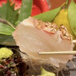 法善寺横丁 天ぷら天山 - 