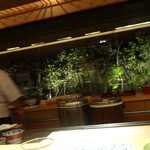 一心鮨 光洋 - カウンターから見えるお庭