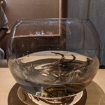 橦木町 しみず - 