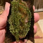 奥新 鮨屋のうおきん - 