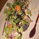 コウシキャンプ - 