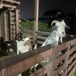 活うなぎ 美濃川 - 