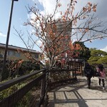 塔之岡茶屋 - 