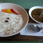 スプーンソング - 定番の「チキンカレー」も美味い♪