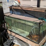 しらすと伊勢海老の 忠兵衛 - 