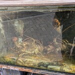 しらすと伊勢海老の 忠兵衛 - 