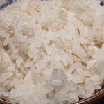 仙台牛たん 伊達サーモン 三代目 文治 - 