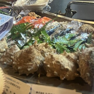 炉端 留味庵_1
