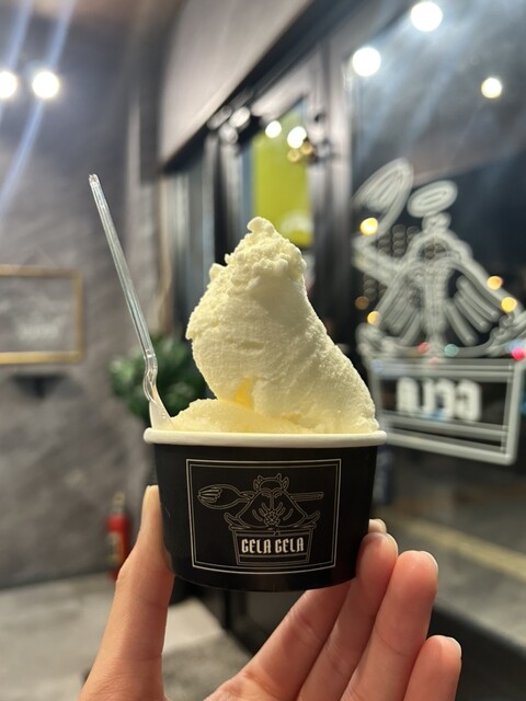ジェラートGELA GELA （ジェラジェラ） - 宿院/ジェラート・アイス