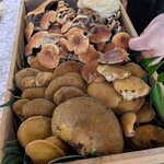 Une Fleur - ひとみシェフから紹介していただいた天然キノコ 色々・・・、