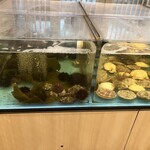 うにむらかみ - 