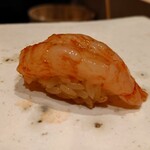 329775169 - 縞海老