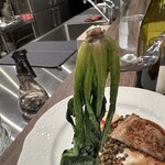 Au lapin agile - 【2025.11.20(木)】豚肩ロース肉のポアレ3,000円