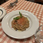 Taverna Coccorana - セコガニのリゾット