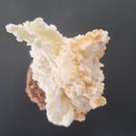 手作りアイス フィオーレ - 