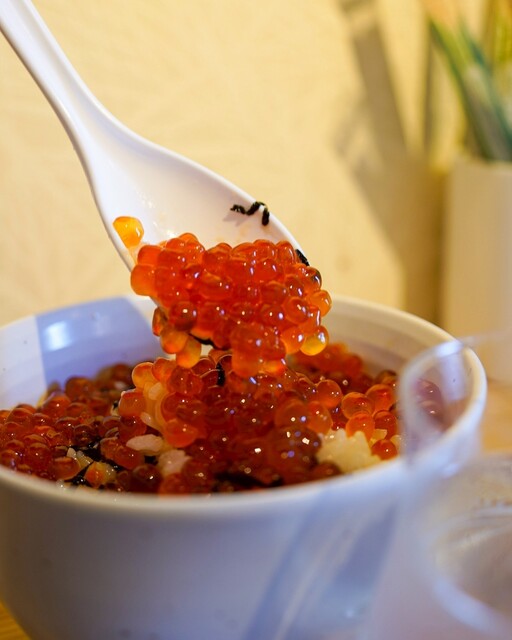 二代目 かぼち家のご予約 - 鶯谷/海鮮丼 | 食べログ