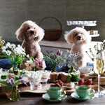 The Barn - 愛犬と食事が楽しめます