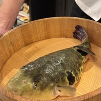 泳ぎとらふぐ活蟹料理 あじ平 曽根崎 - 