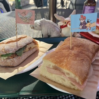 大陸横断飛行_0