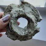 トロッポ ドーナツ - 