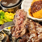 トマト＆オニオン 我孫子店 - 焼肉醤油弾丸ハンバーグ＆ヒレかつと春巻き