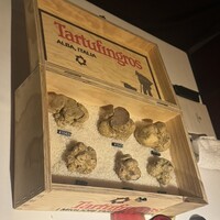 マルゴット エ バッチャーレ - 