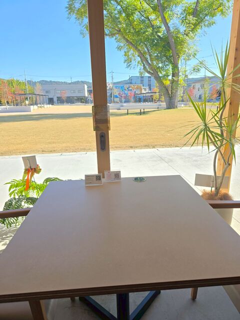 The Paddock Cafe photo 5