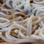 蕎麦 美酒 健肴 佳蕎庵 - 君は刹那なり