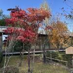 幸家 - 外観