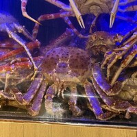 湘南沖地蟹専門店ふじ月 - 