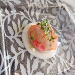 ノガラッツァ - 